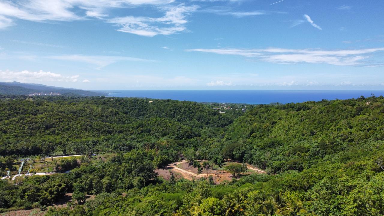 Ninth image of 633- Azalea Loop in Three Hills, St. Mary, Jamaica - property is For Sale