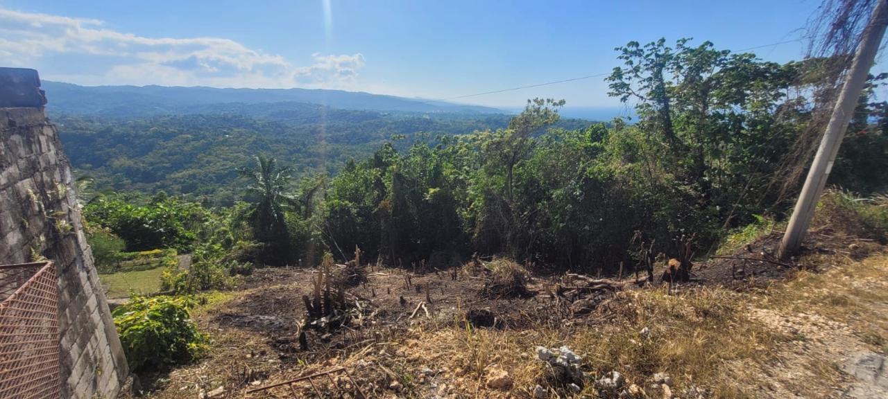 First image of 633- Azalea Loop in Three Hills, St. Mary, Jamaica - property is For Sale