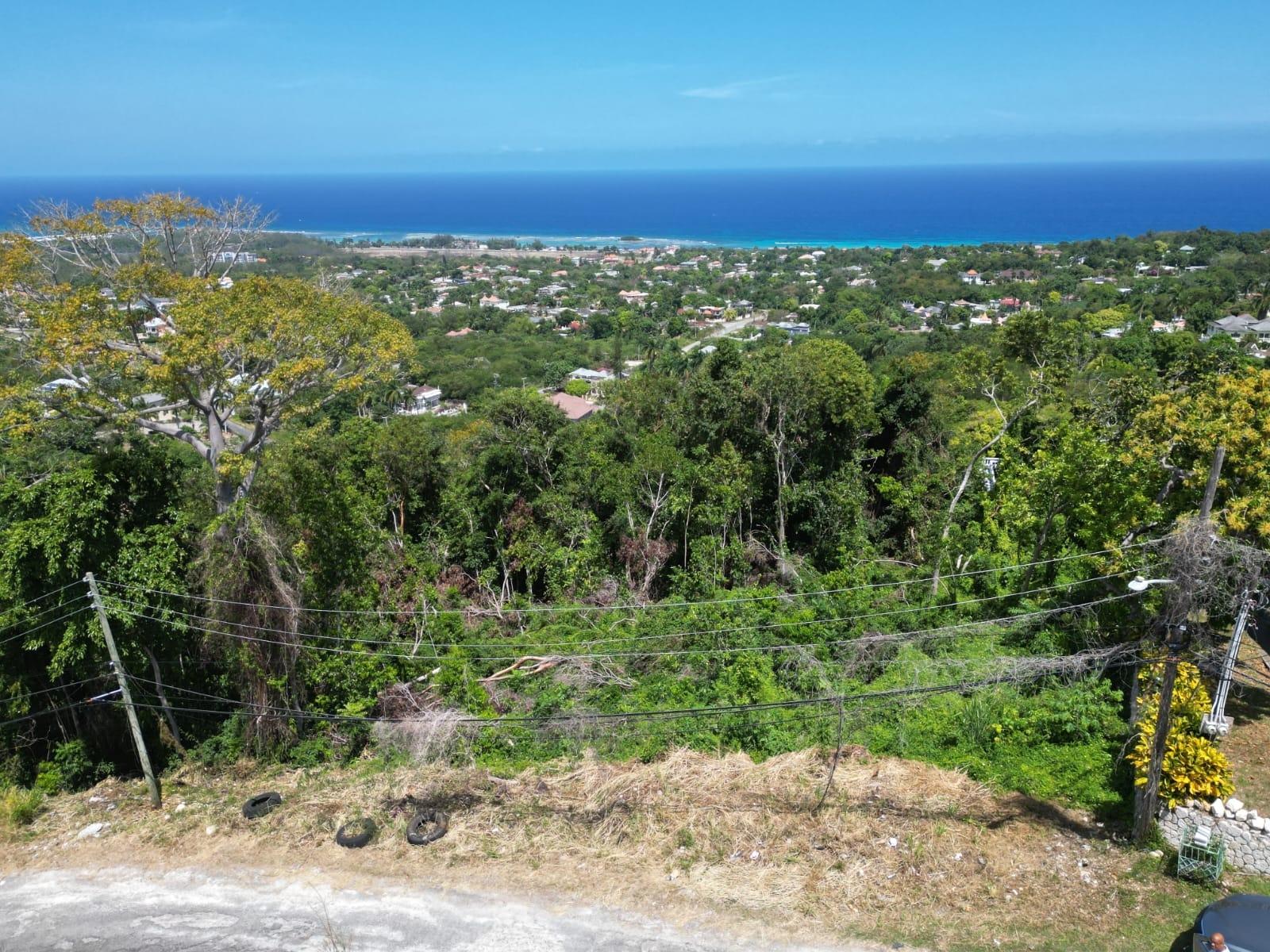 Fifth image of 209 Torada Heights in Little River, St. James, Jamaica - property is For Sale