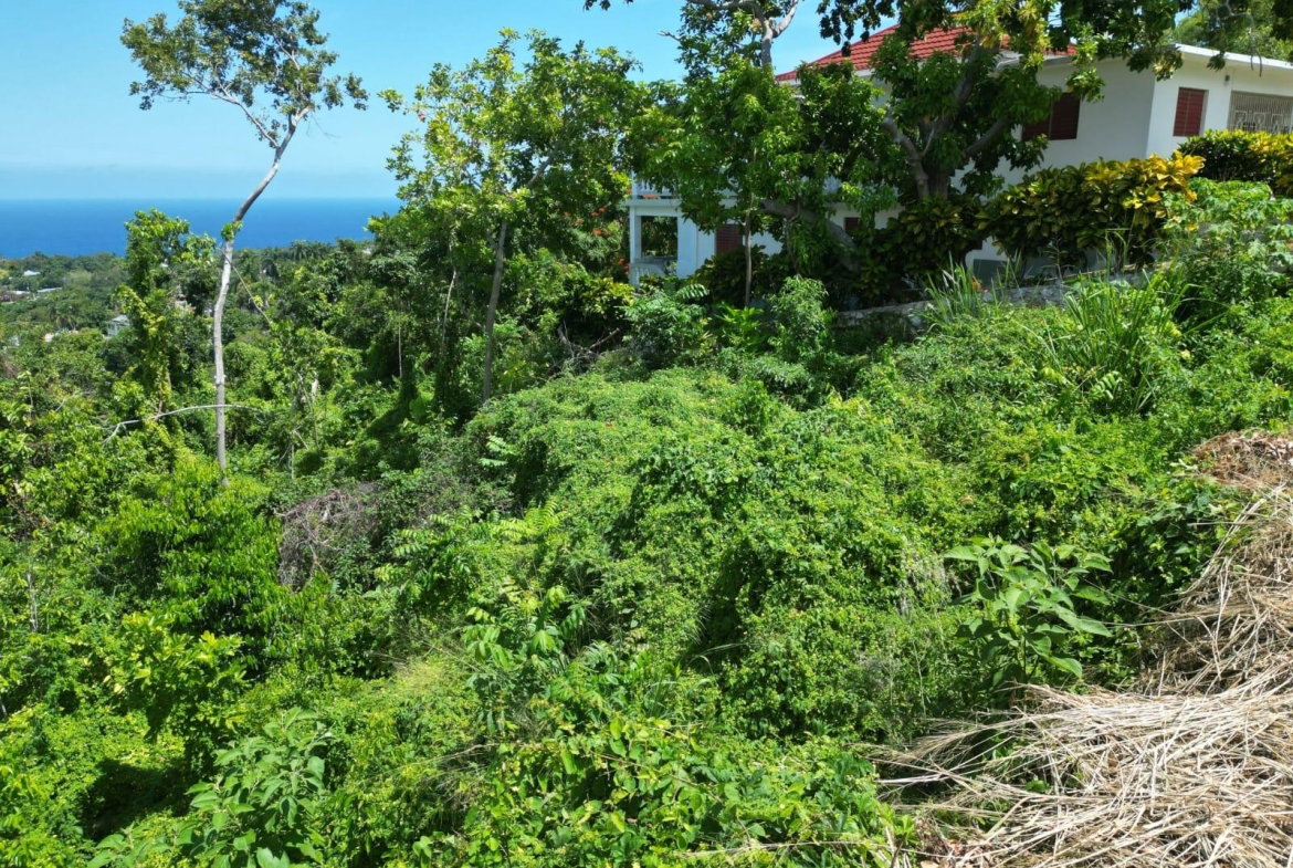 Sixth image of 209 Torada Heights in Little River, St. James, Jamaica - property is For Sale