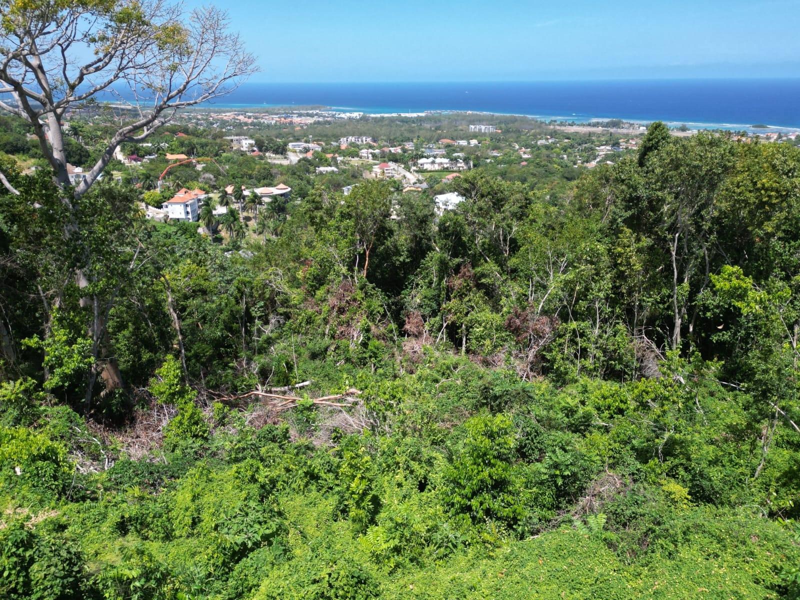 Seventh image of 209 Torada Heights in Little River, St. James, Jamaica - property is For Sale