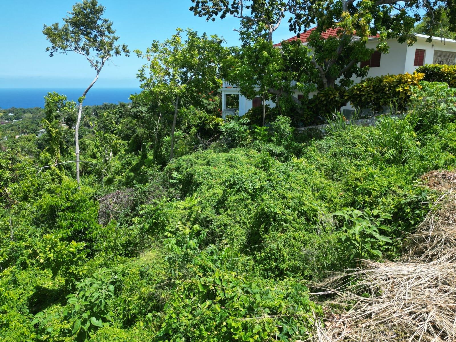 Eighth image of 209 Torada Heights in Little River, St. James, Jamaica - property is For Sale