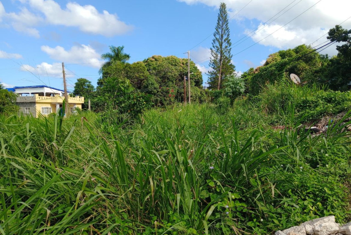 Third image of Tower Hill Road in Tower Isle, St. Mary, Jamaica - property is For Sale
