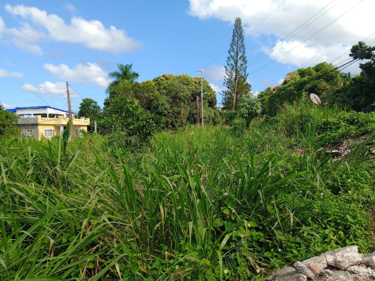 Third image of Tower Hill Road in Tower Isle, St. Mary, Jamaica - property is For Sale