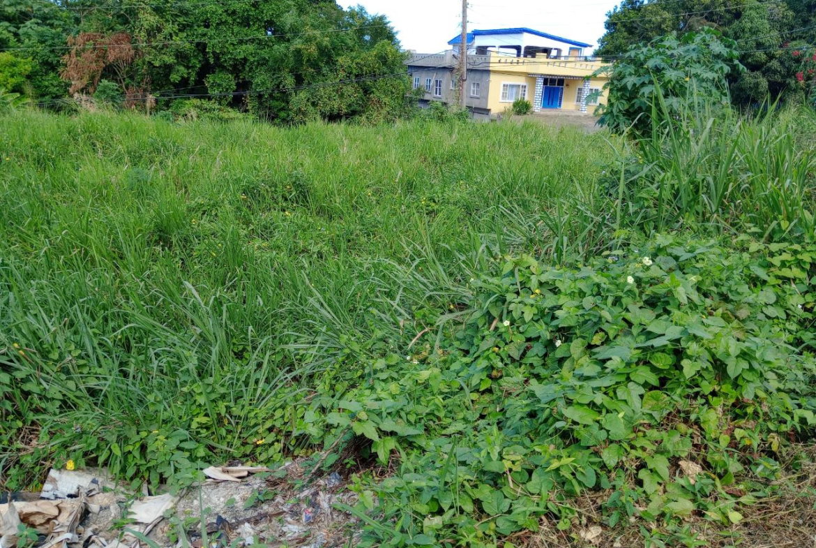 Fourth image of Tower Hill Road in Tower Isle, St. Mary, Jamaica - property is For Sale