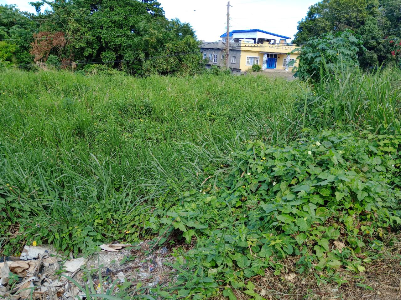 Fourth image of Tower Hill Road in Tower Isle, St. Mary, Jamaica - property is For Sale