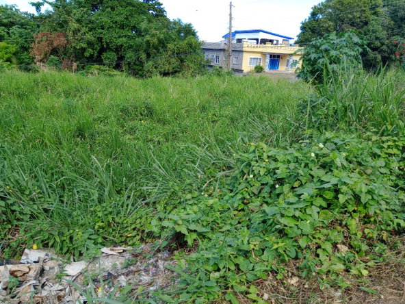 Fourth image of Tower Hill Road in Tower Isle, St. Mary, Jamaica - property is For Sale