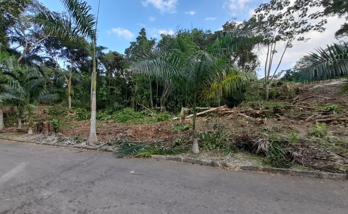 Second image of 63 Roystonea in Tower Isle, St. Mary, Jamaica - property is For Sale