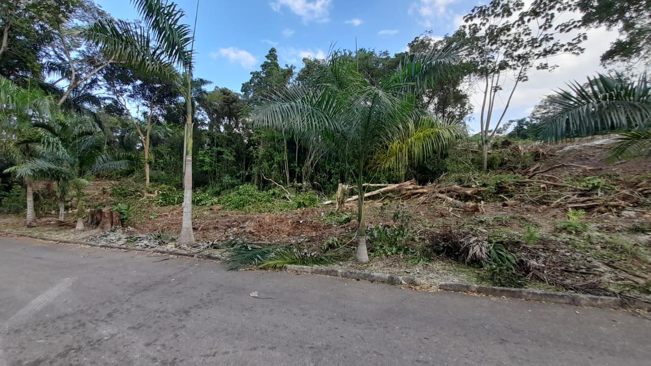 Second image of 63 Roystonea in Tower Isle, St. Mary, Jamaica - property is For Sale