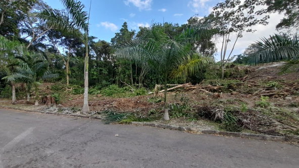 Second image of 63 Roystonea in Tower Isle, St. Mary, Jamaica - property is For Sale