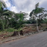 First image of 63 Roystonea in Tower Isle, St. Mary, Jamaica - property is For Sale