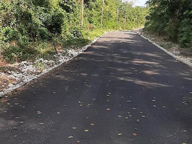 Fifth image of 63 Roystonea in Tower Isle, St. Mary, Jamaica - property is For Sale