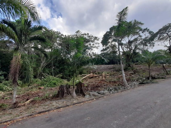 First image of 63 Roystonea in Tower Isle, St. Mary, Jamaica - property is For Sale