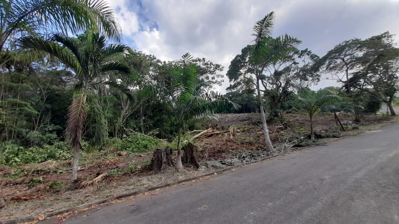 First image of 63 Roystonea in Tower Isle, St. Mary, Jamaica - property is For Sale
