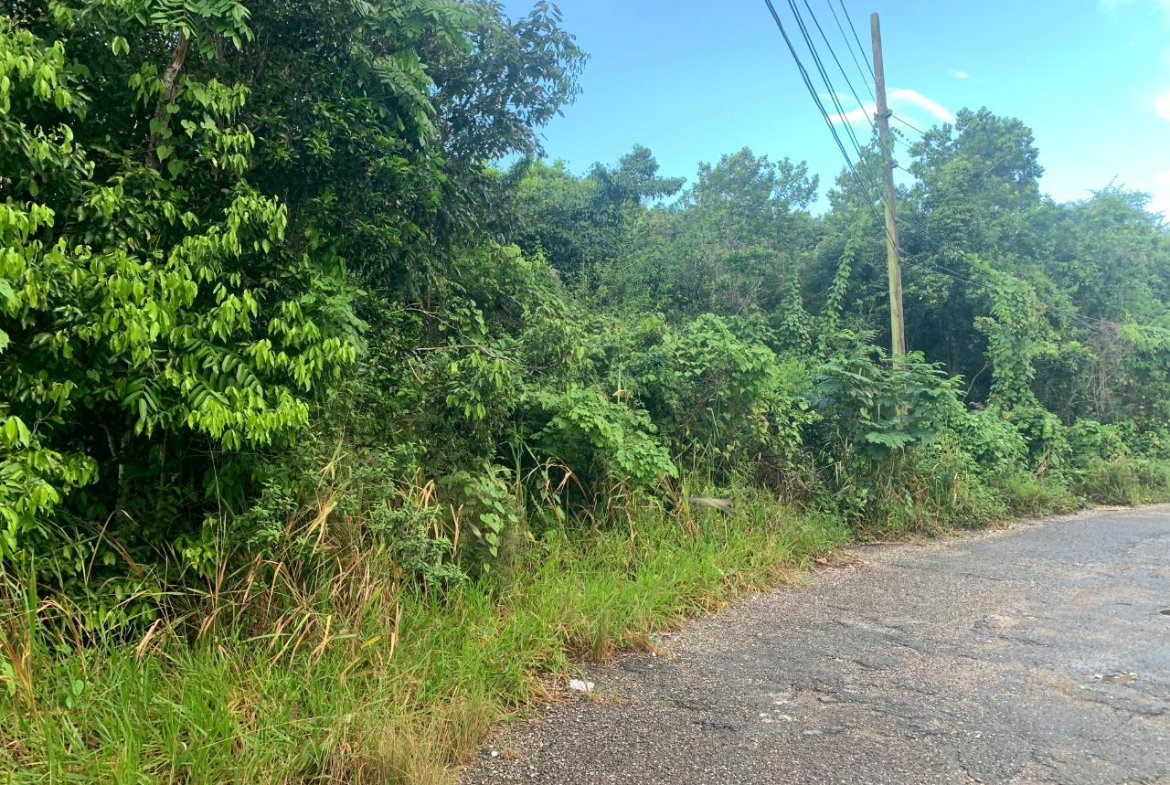 Second image of 3 Coopers Hill, Red Hills in Red Hills, St. Andrew, Jamaica - property is For Sale