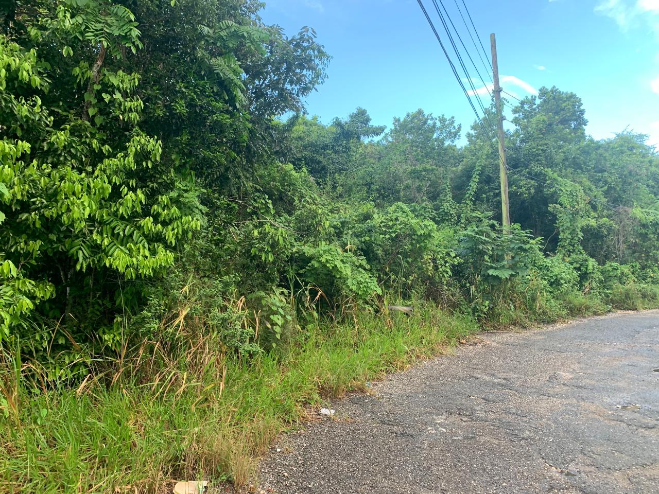 Second image of 3 Coopers Hill, Red Hills in Red Hills, St. Andrew, Jamaica - property is For Sale
