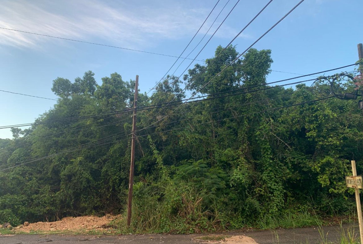 First image of 3 Coopers Hill, Red Hills in Red Hills, St. Andrew, Jamaica - property is For Sale