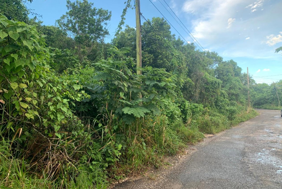 Third image of 3 Coopers Hill, Red Hills in Red Hills, St. Andrew, Jamaica - property is For Sale
