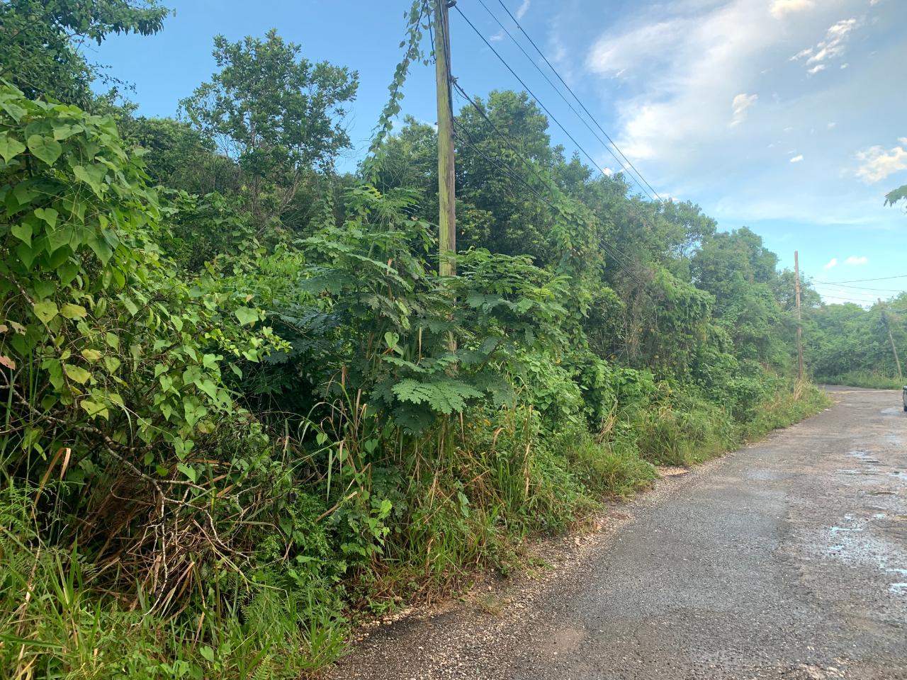 Third image of 3 Coopers Hill, Red Hills in Red Hills, St. Andrew, Jamaica - property is For Sale