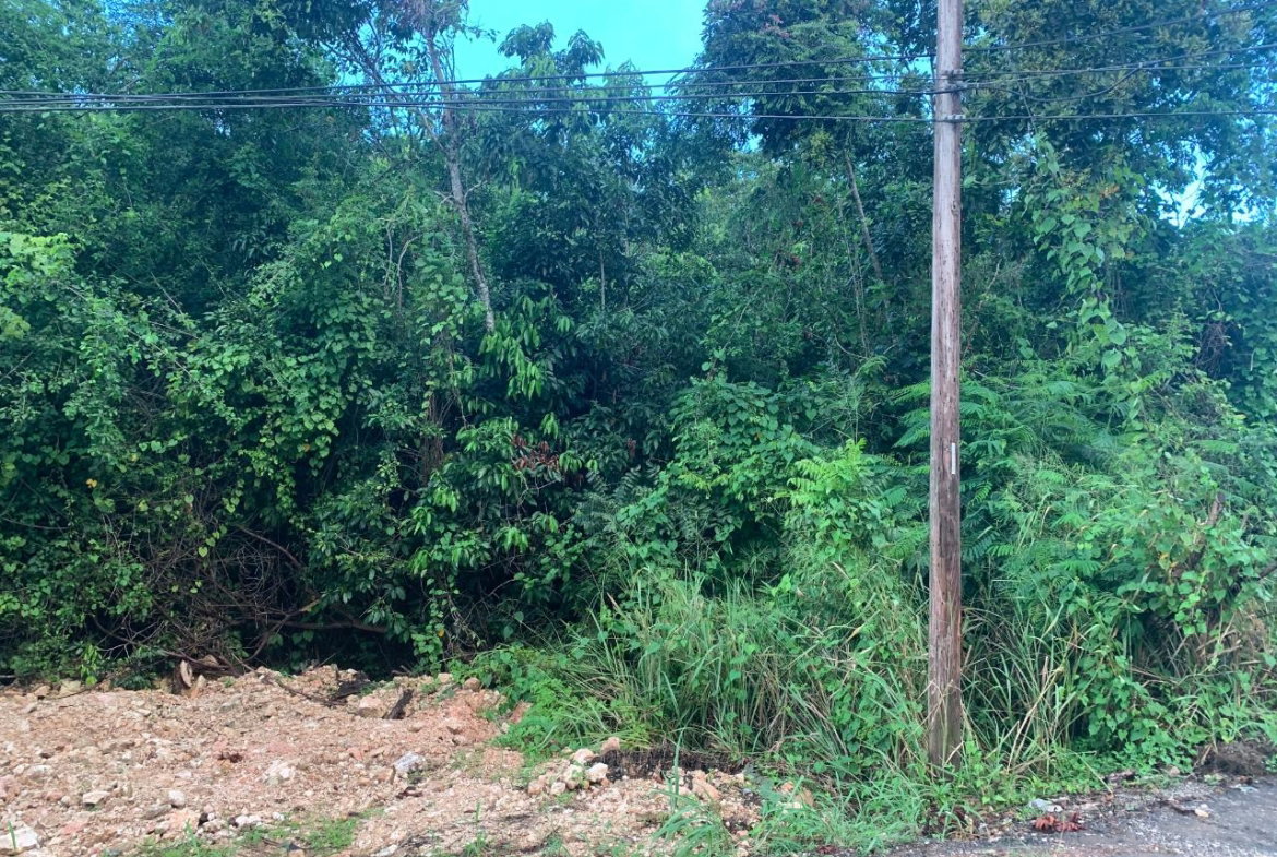 Fourth image of 3 Coopers Hill, Red Hills in Red Hills, St. Andrew, Jamaica - property is For Sale