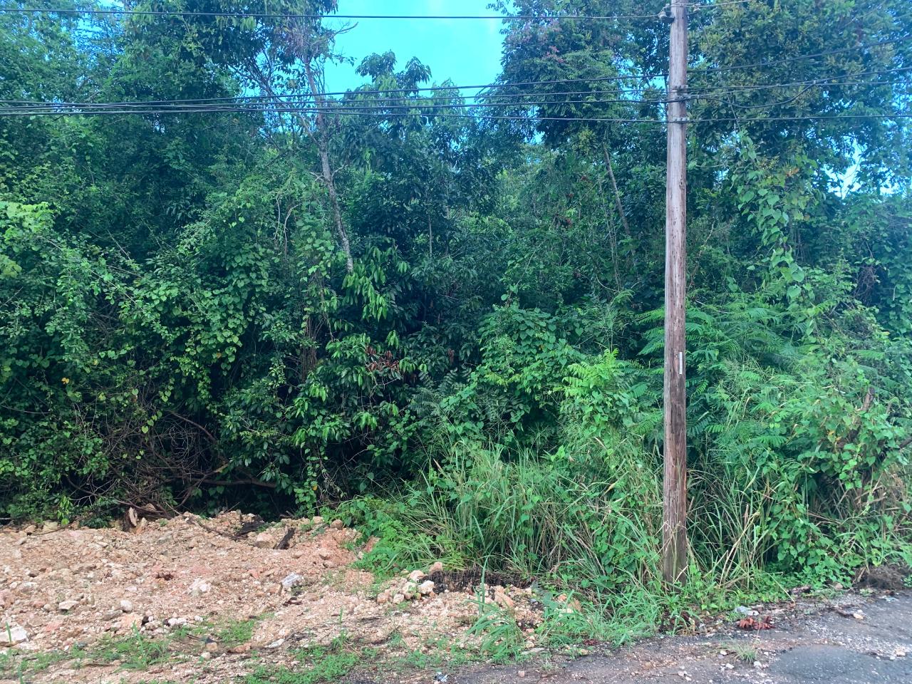 Fourth image of 3 Coopers Hill, Red Hills in Red Hills, St. Andrew, Jamaica - property is For Sale