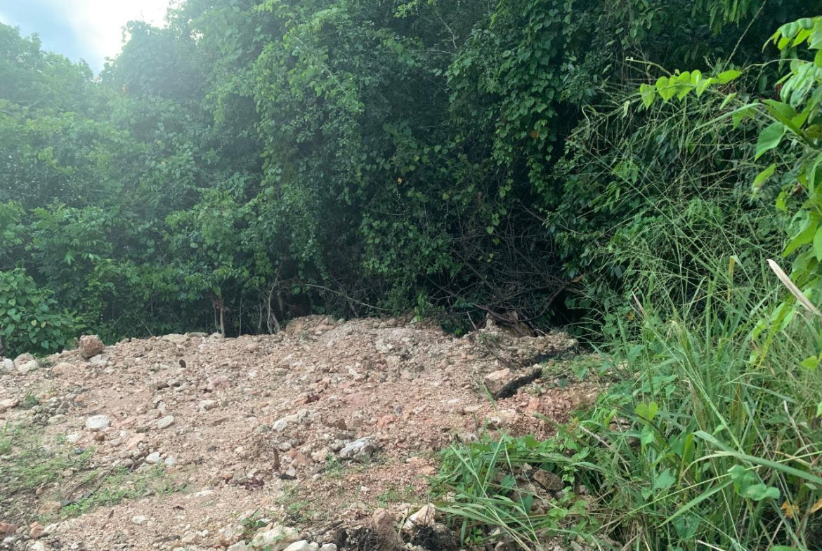 Fifth image of 3 Coopers Hill, Red Hills in Red Hills, St. Andrew, Jamaica - property is For Sale