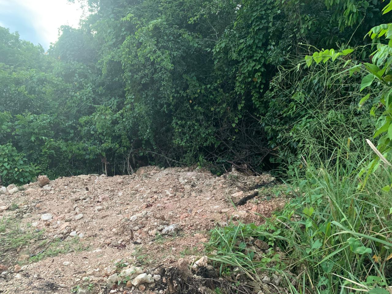 Fifth image of 3 Coopers Hill, Red Hills in Red Hills, St. Andrew, Jamaica - property is For Sale