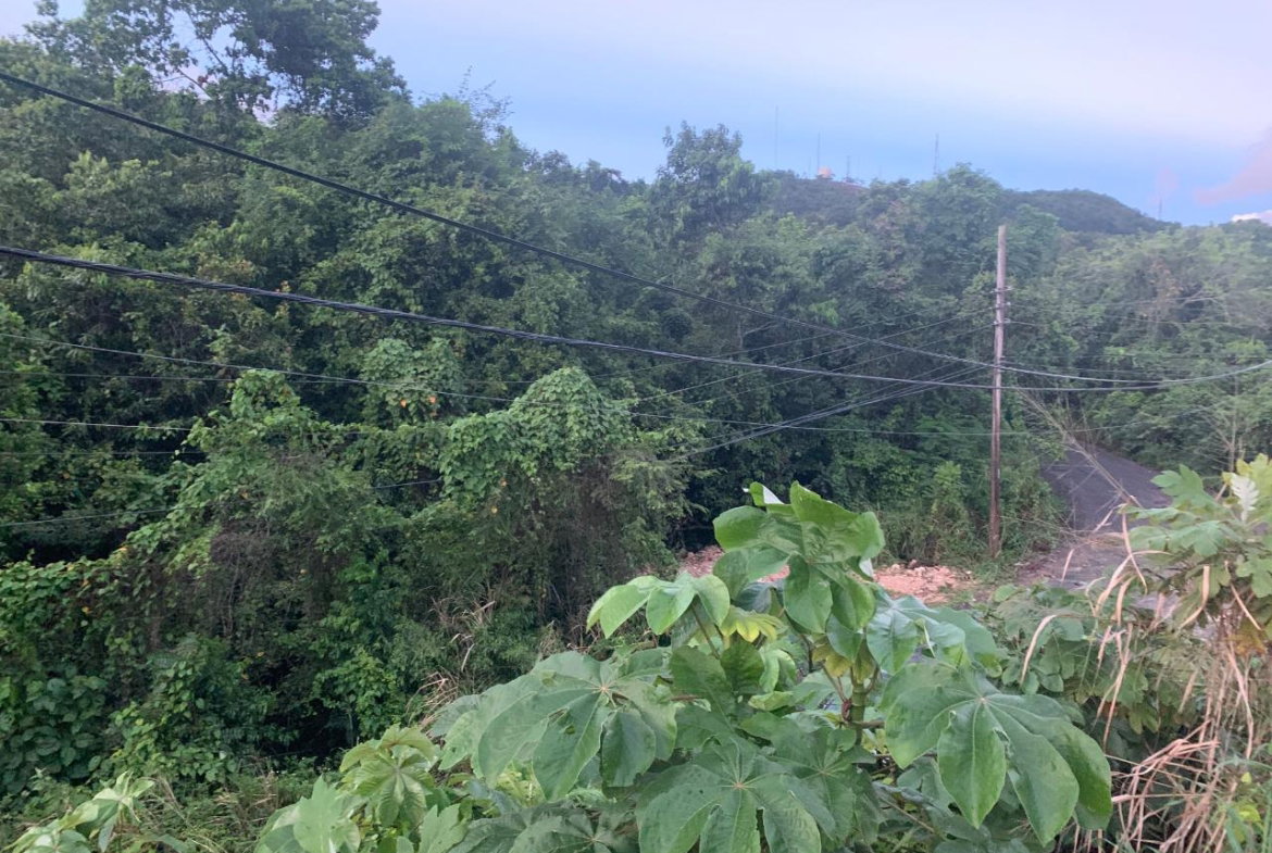 Sixth image of 3 Coopers Hill, Red Hills in Red Hills, St. Andrew, Jamaica - property is For Sale