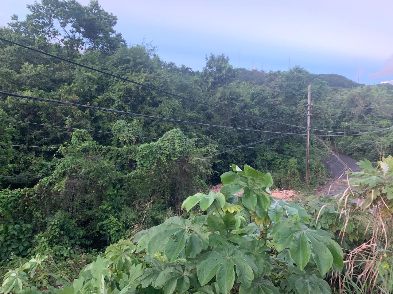 Sixth image of 3 Coopers Hill, Red Hills in Red Hills, St. Andrew, Jamaica - property is For Sale