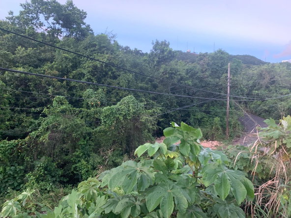 Sixth image of 3 Coopers Hill, Red Hills in Red Hills, St. Andrew, Jamaica - property is For Sale
