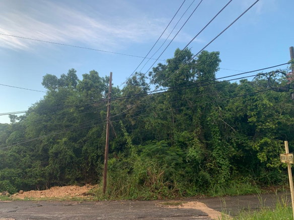 First image of 3 Coopers Hill, Red Hills in Red Hills, St. Andrew, Jamaica - property is For Sale