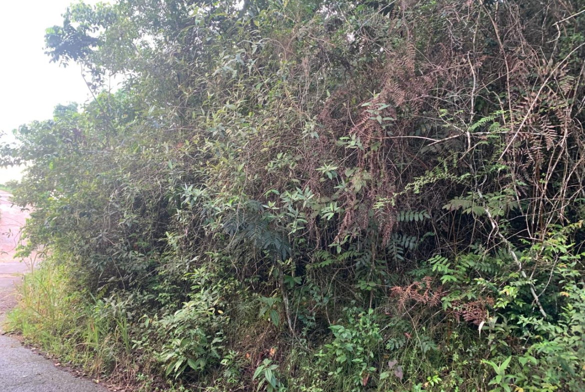 Seventh image of 3 Coopers Hill, Red Hills in Red Hills, St. Andrew, Jamaica - property is For Sale