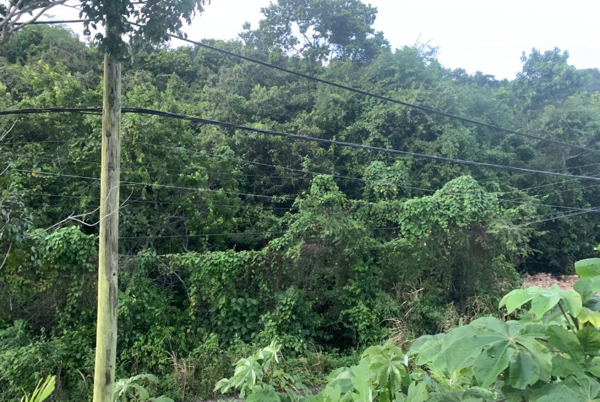 Eighth image of 3 Coopers Hill, Red Hills in Red Hills, St. Andrew, Jamaica - property is For Sale
