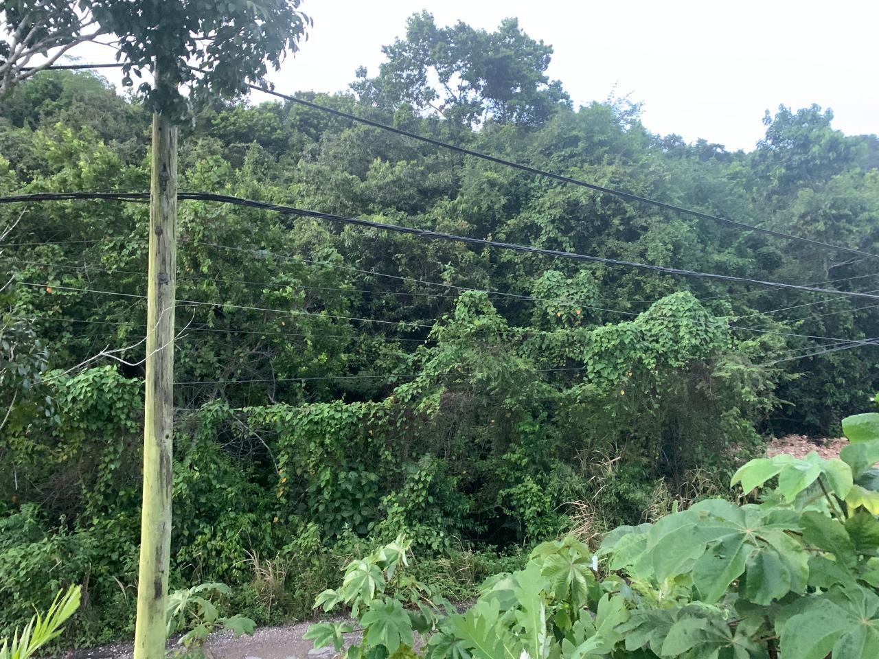 Eighth image of 3 Coopers Hill, Red Hills in Red Hills, St. Andrew, Jamaica - property is For Sale