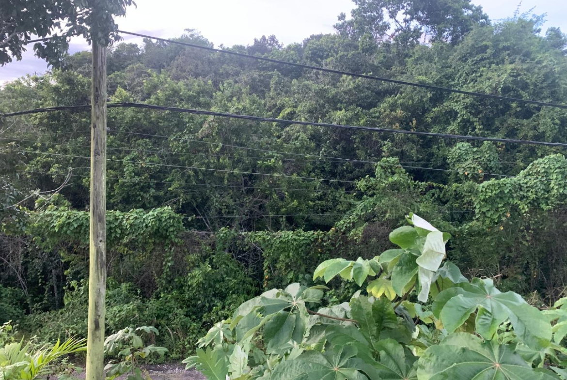 Ninth image of 3 Coopers Hill, Red Hills in Red Hills, St. Andrew, Jamaica - property is For Sale