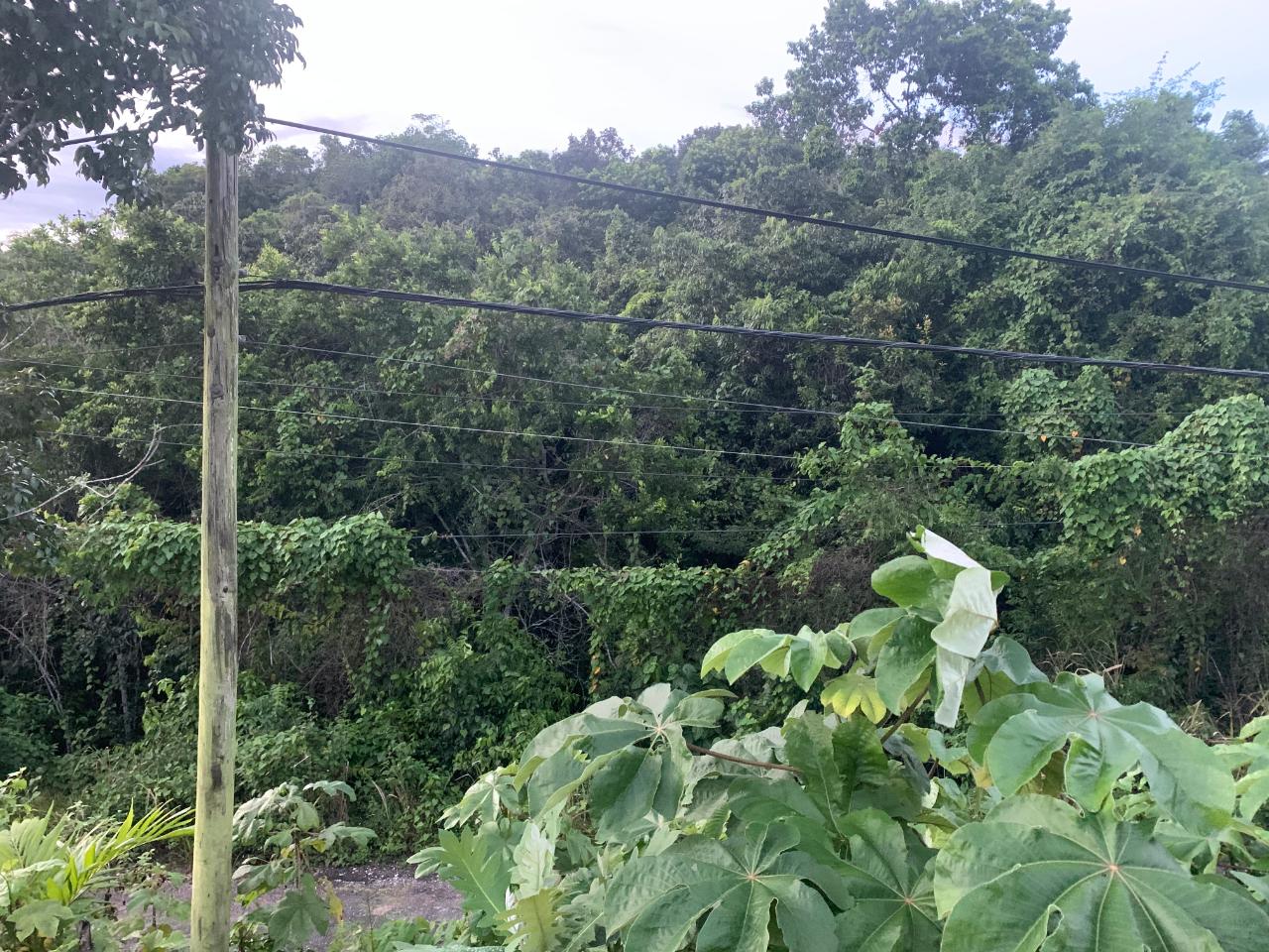 Ninth image of 3 Coopers Hill, Red Hills in Red Hills, St. Andrew, Jamaica - property is For Sale