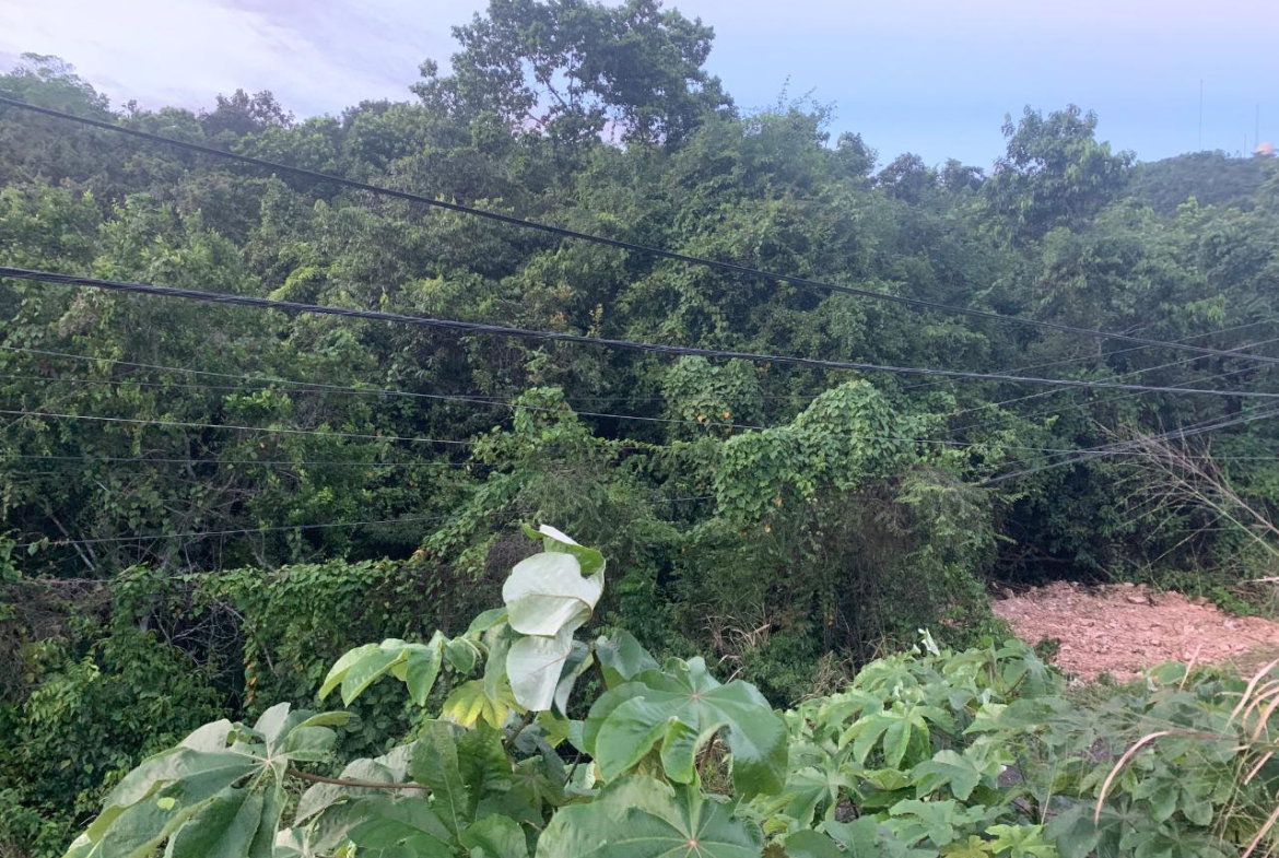 Tenth image of 3 Coopers Hill, Red Hills in Red Hills, St. Andrew, Jamaica - property is For Sale