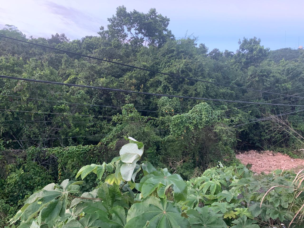 Tenth image of 3 Coopers Hill, Red Hills in Red Hills, St. Andrew, Jamaica - property is For Sale