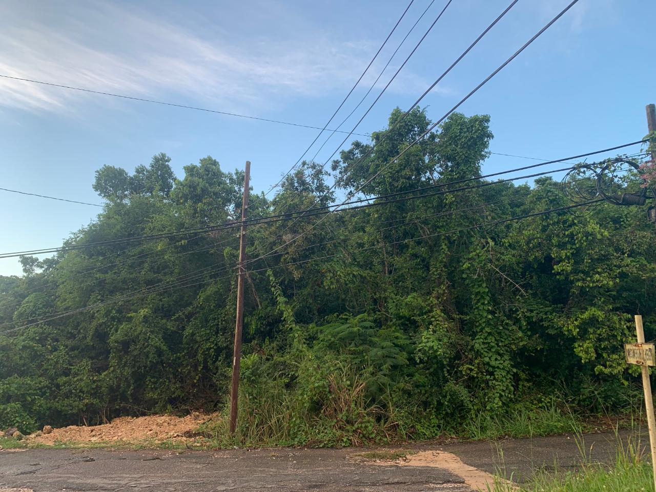 First image of 3 Coopers Hill, Red Hills in Red Hills, St. Andrew, Jamaica - property is For Sale