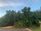 First image of 3 Coopers Hill, Red Hills in Red Hills, St. Andrew, Jamaica - property is For Sale