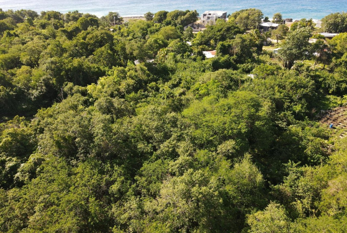First image of Tora Drive West End Negril P.o. in Negril, Westmoreland, Jamaica - property is For Sale
