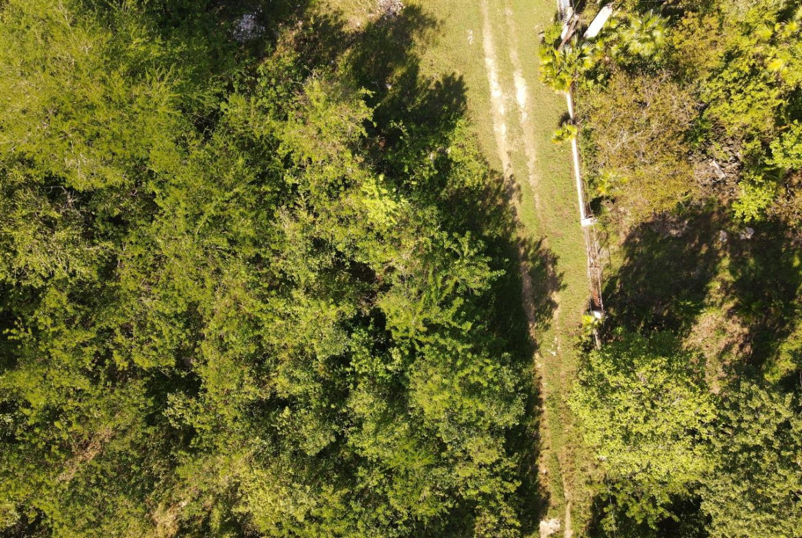 Fifteenth image of Tora Drive West End Negril P.o. in Negril, Westmoreland, Jamaica - property is For Sale