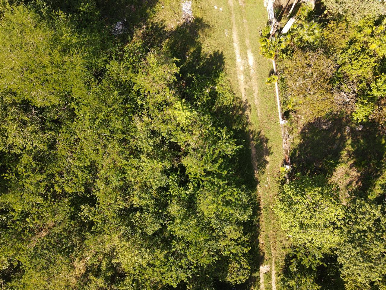 Fifteenth image of Tora Drive West End Negril P.o. in Negril, Westmoreland, Jamaica - property is For Sale