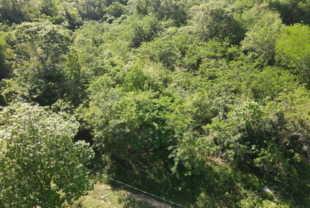 Sixteenth image of Tora Drive West End Negril P.o. in Negril, Westmoreland, Jamaica - property is For Sale