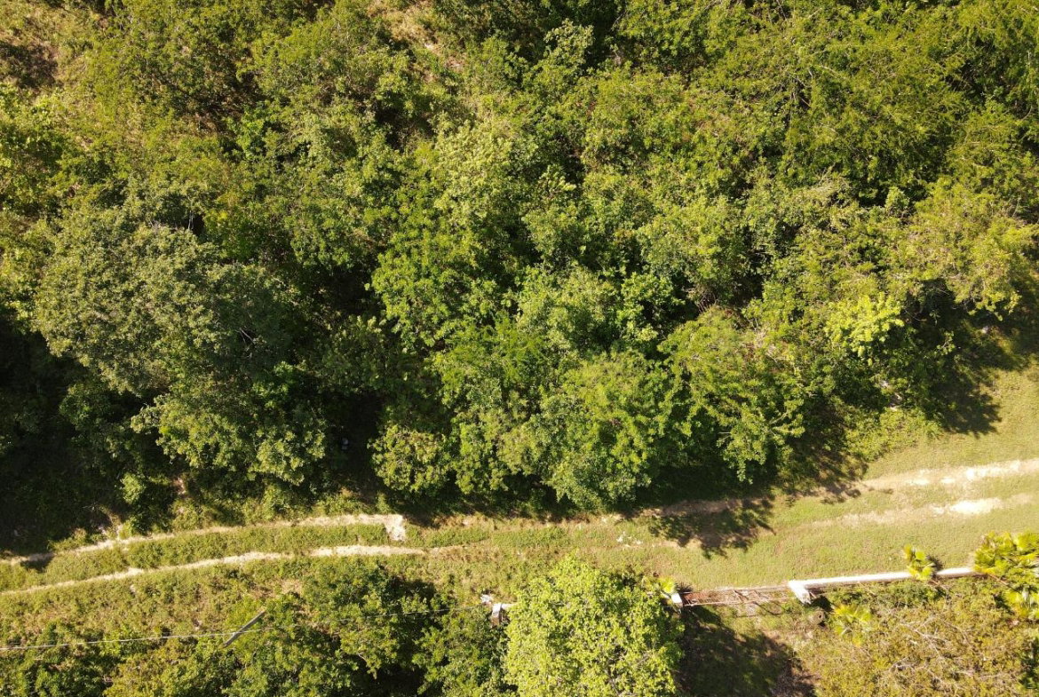 Third image of Tora Drive West End Negril P.o. in Negril, Westmoreland, Jamaica - property is For Sale