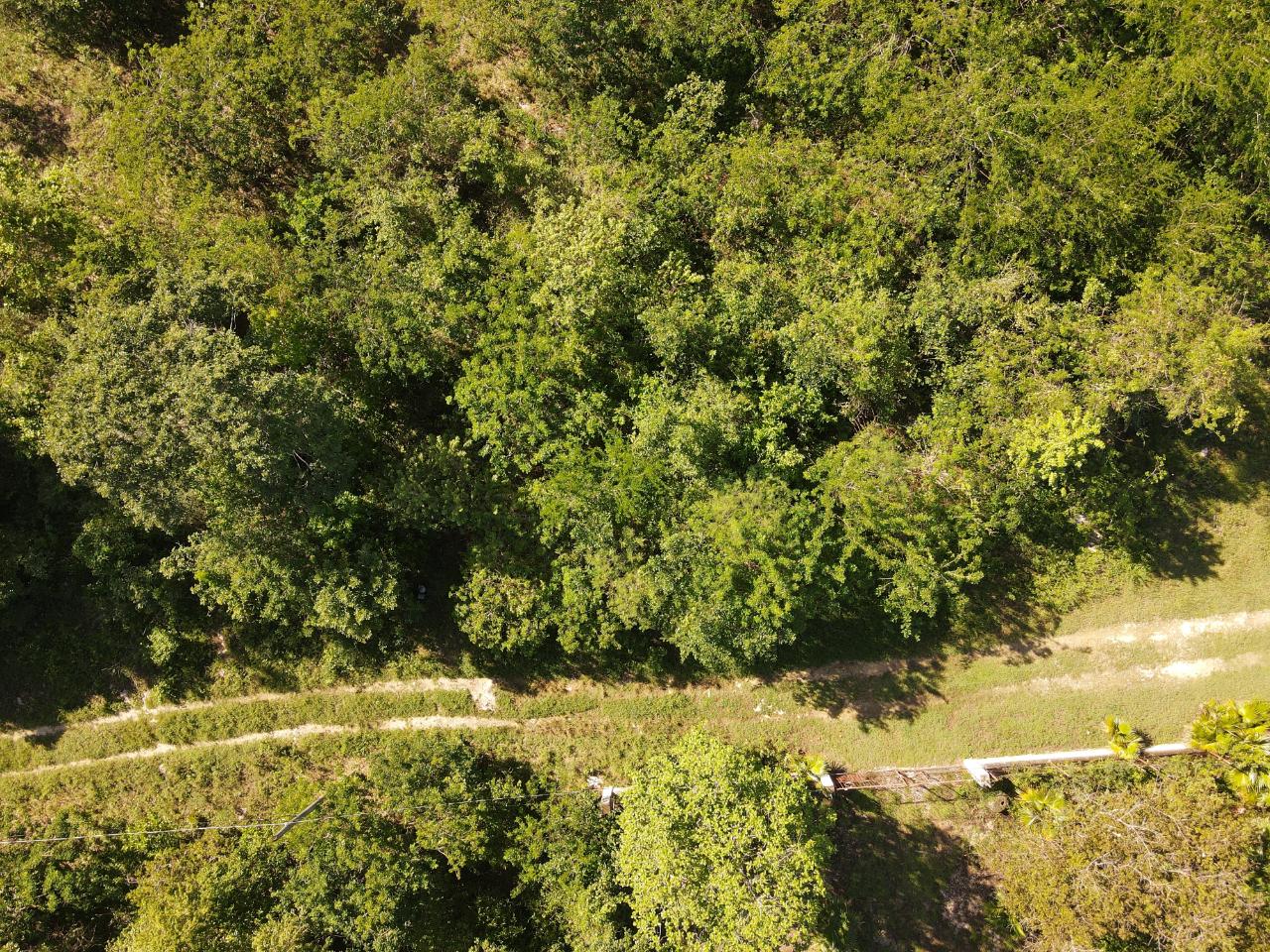 Third image of Tora Drive West End Negril P.o. in Negril, Westmoreland, Jamaica - property is For Sale