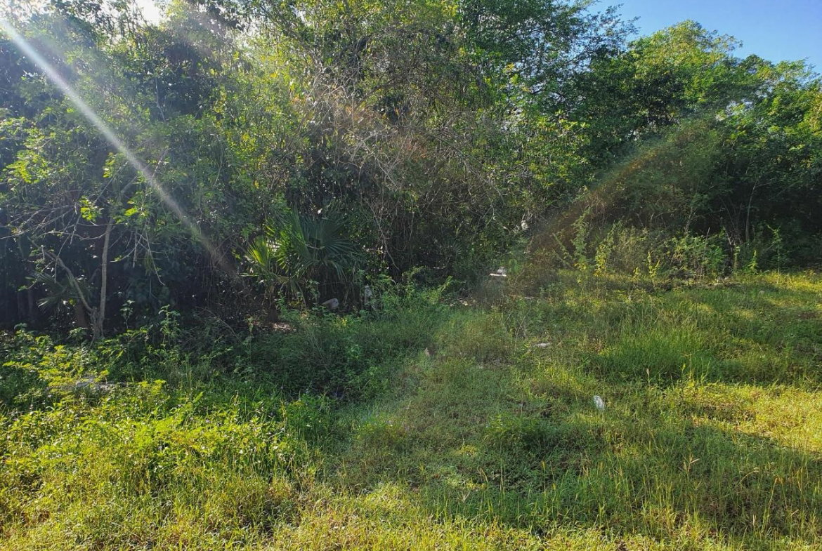 Fifth image of Tora Drive West End Negril P.o. in Negril, Westmoreland, Jamaica - property is For Sale