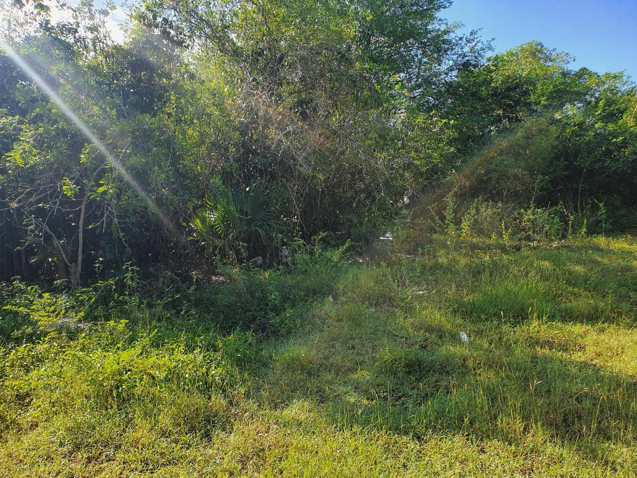 Fifth image of Tora Drive West End Negril P.o. in Negril, Westmoreland, Jamaica - property is For Sale