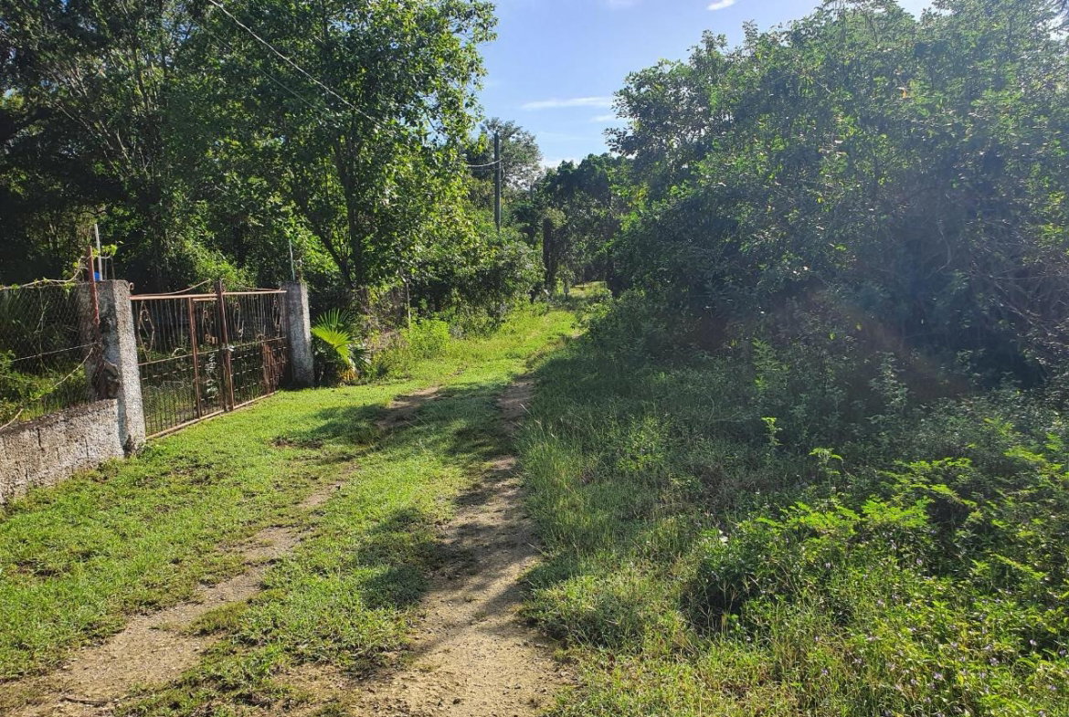 Seventh image of Tora Drive West End Negril P.o. in Negril, Westmoreland, Jamaica - property is For Sale