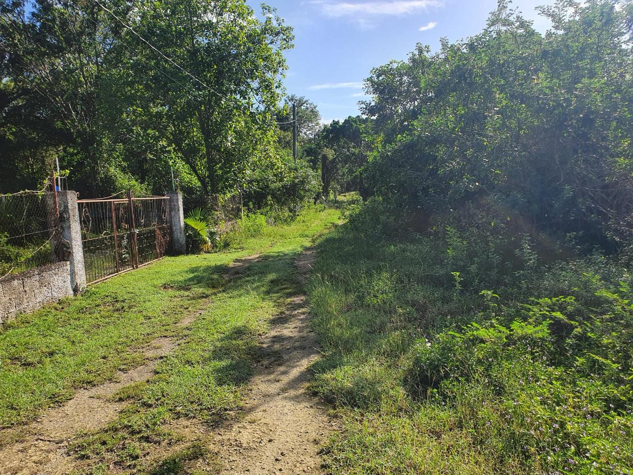 Seventh image of Tora Drive West End Negril P.o. in Negril, Westmoreland, Jamaica - property is For Sale